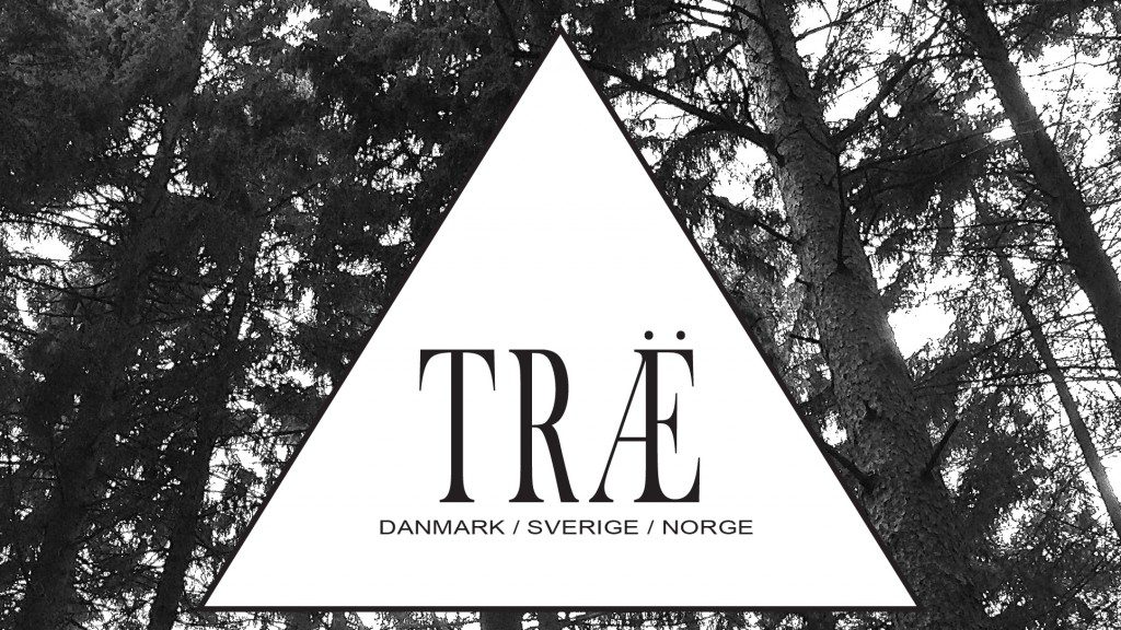 Scandinavia Standard Nordisk Trae Wood Timber iphone case