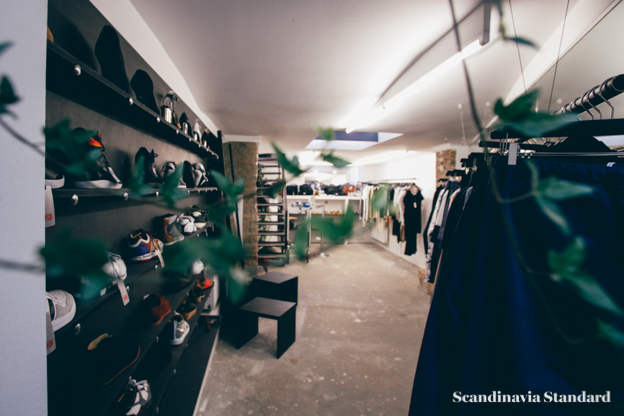 Temporary Showroom Plants | Scandinavia Standard