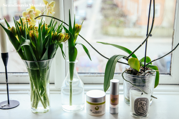 Juice Beauty on Window - Organic Cruelty-free Cosmetics - Safe for pregnant women | Scandinavia Standard
