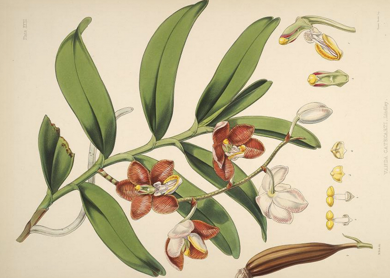 11071035_890574847655428_5394780139779664800_n