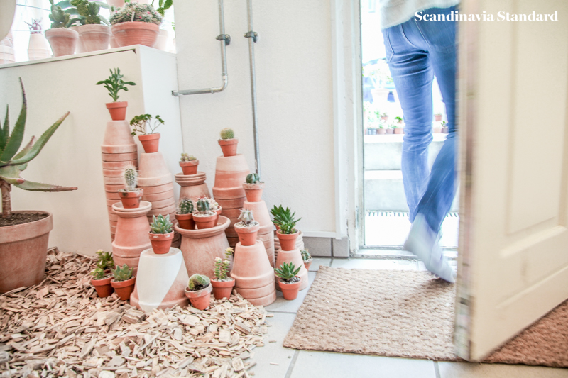 Kaktus Copenhagen - Exit - Plant Cluster - Jægersborggade | Scandinavia Standard