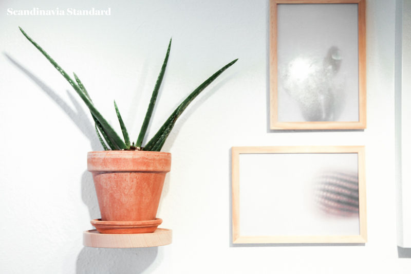 Kaktus Copenhagen - Plant on Shelf + Picture Frames | Scandinavia Standard