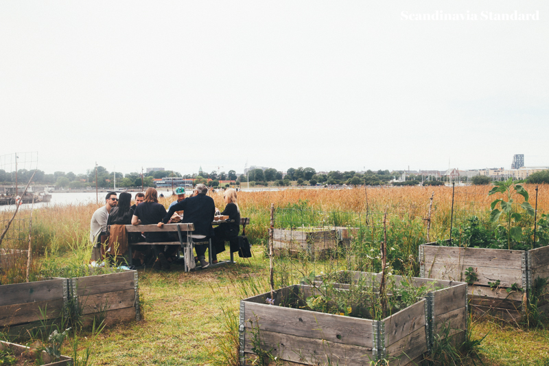 Back Garden in the Sunshine at Amass Copenahgen | Scandinavia Standard