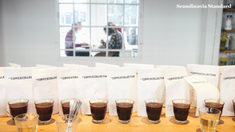CUPPING AT COFFEE COLLECTIVE - August 2015 Whats on Copenhagen | Scandianvia Standard