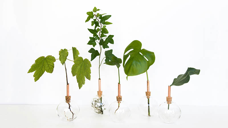 Copenahgen Slow Store