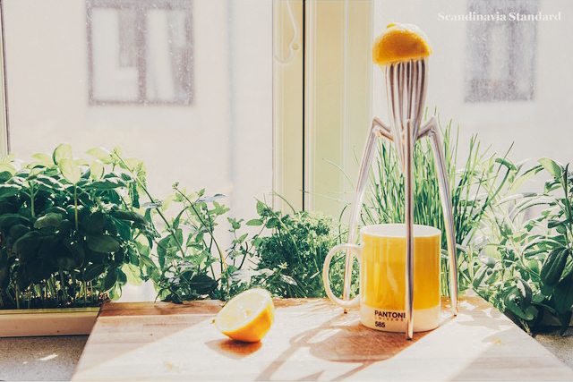 Lemon Squeezer Juicy Stark Water Morning | Scandinavia Standard