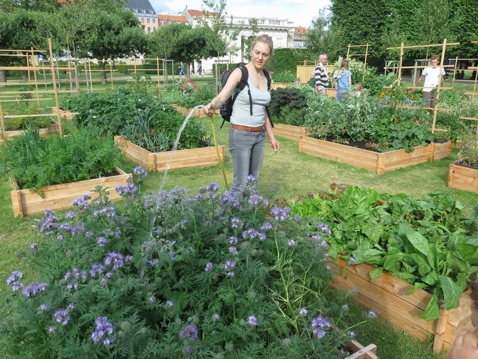 TAG TOMAT - Dec 2015 - Whats on Copenhagen