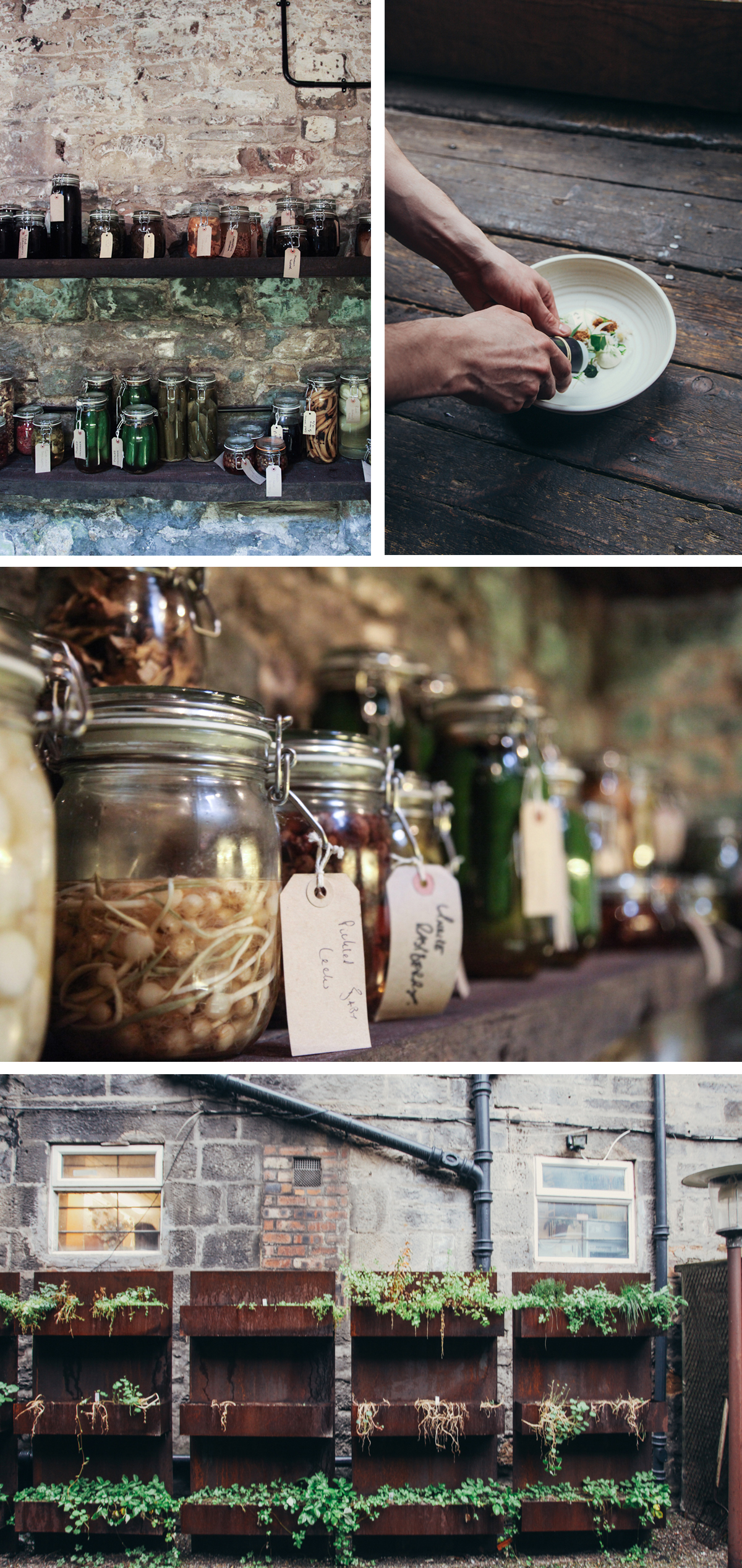 Pantry Timberyard-Edinburgh-Meal-Scandinavia-Standard