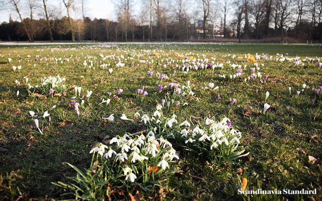 March Weather in Copenhagen