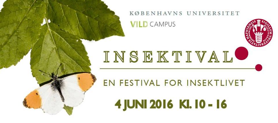 INSEKTIVAL - JUNE 2016 - COPENHAGEN
