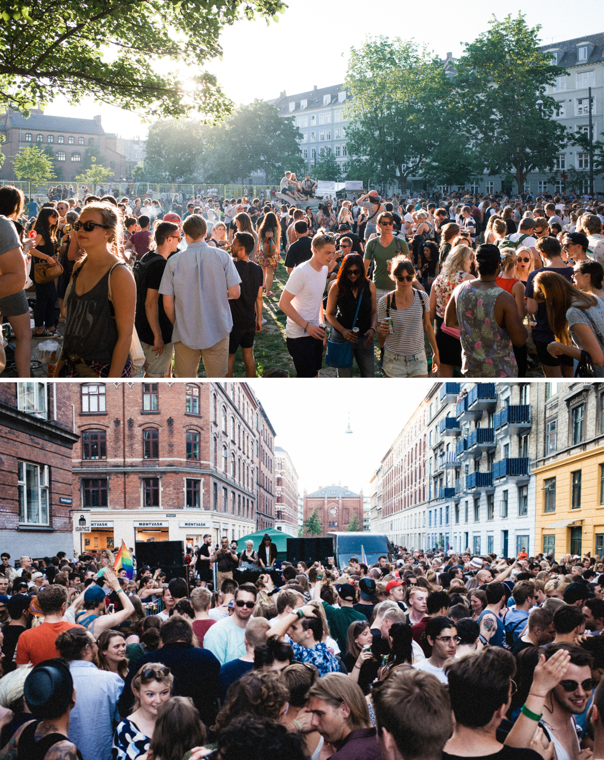 Distortion Joshua Flowers | Scandinavia Standard