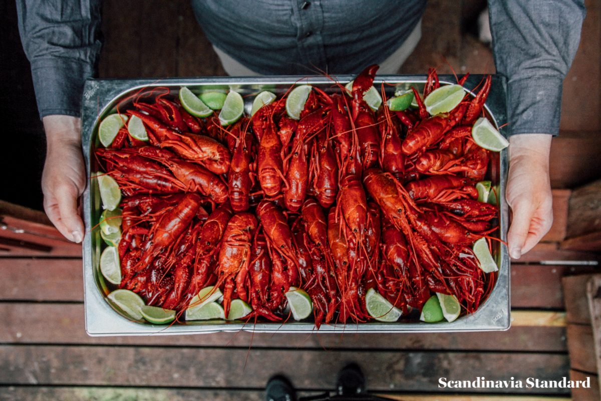 crayfish-tray-gt-weekends-swedish-crayfish-party-scandinavia-standard