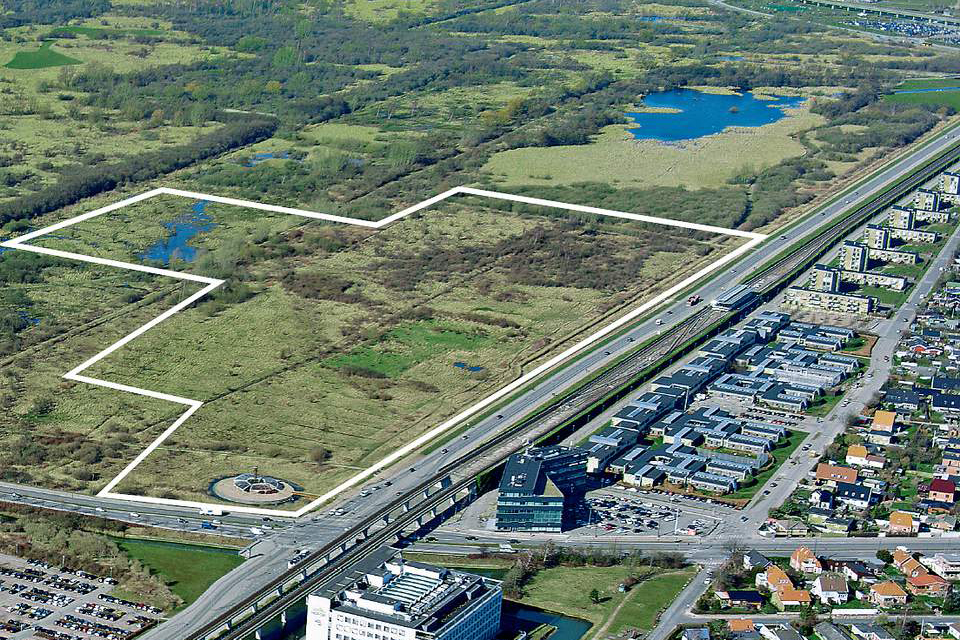 HUMAN RING AMAGERFÆLLED - SEPT 2016