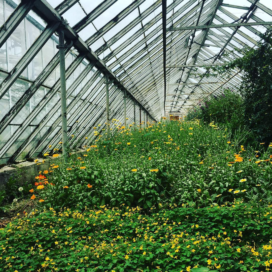 @Katherinebont | Danish Instagram to Follow | Scandinavia Standard