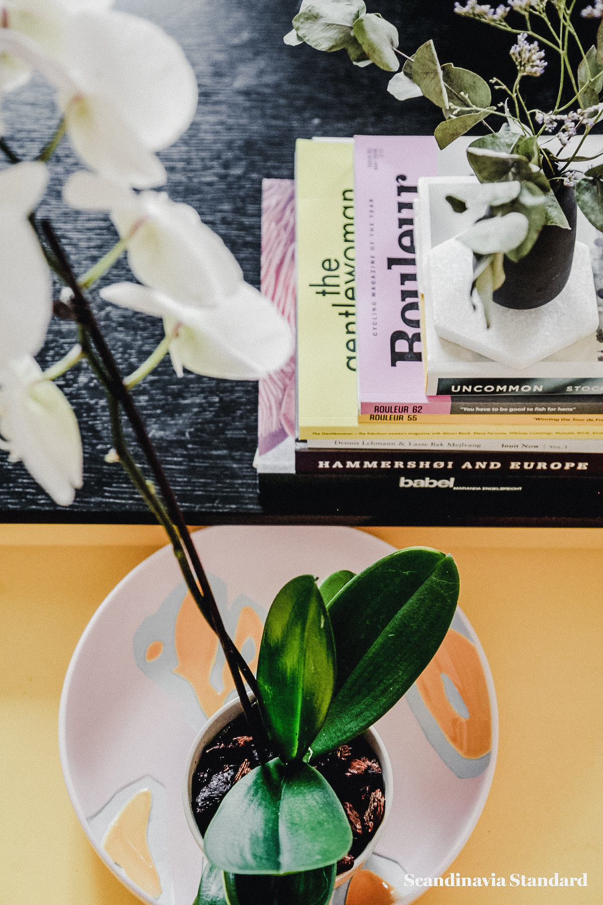 the-white-room-rebeccas-nordvest-apartment-copenhagen-interiors-scandianvia-standard-7438