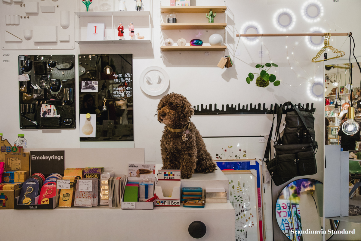 Scandi Six Interior Design Shops in Copenhagen Area Store Scandinavian Standard