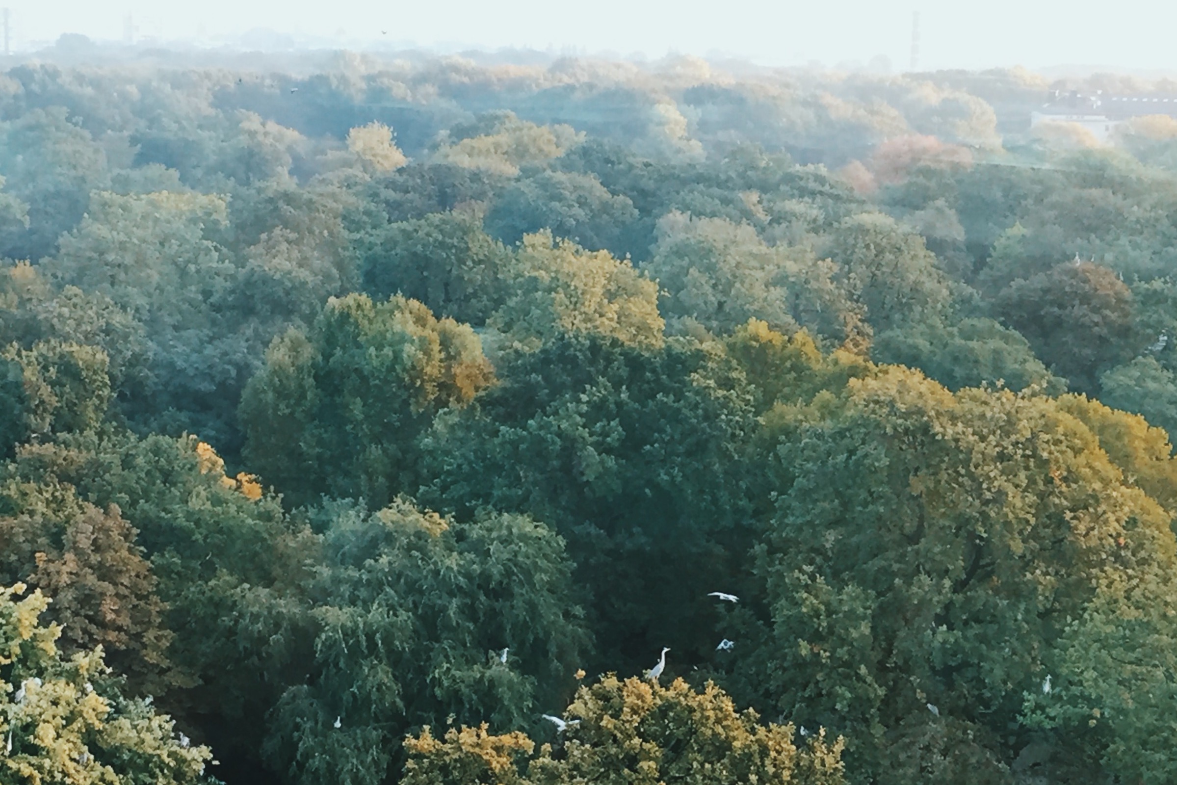 Processed with VSCO with c7 preset