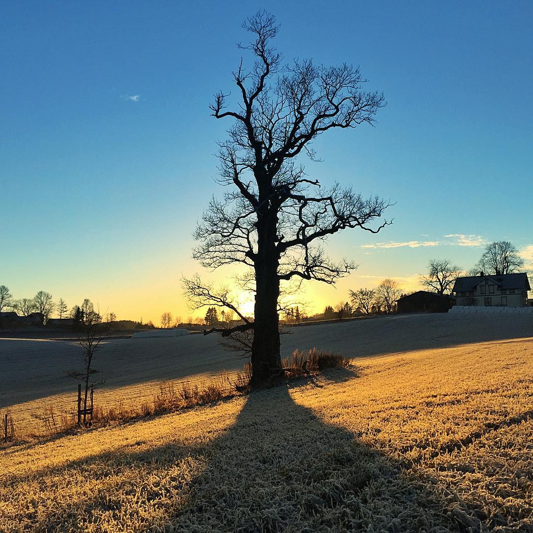 Scandi Six: Norwegian Instagram Account to Follow - Glenntonic