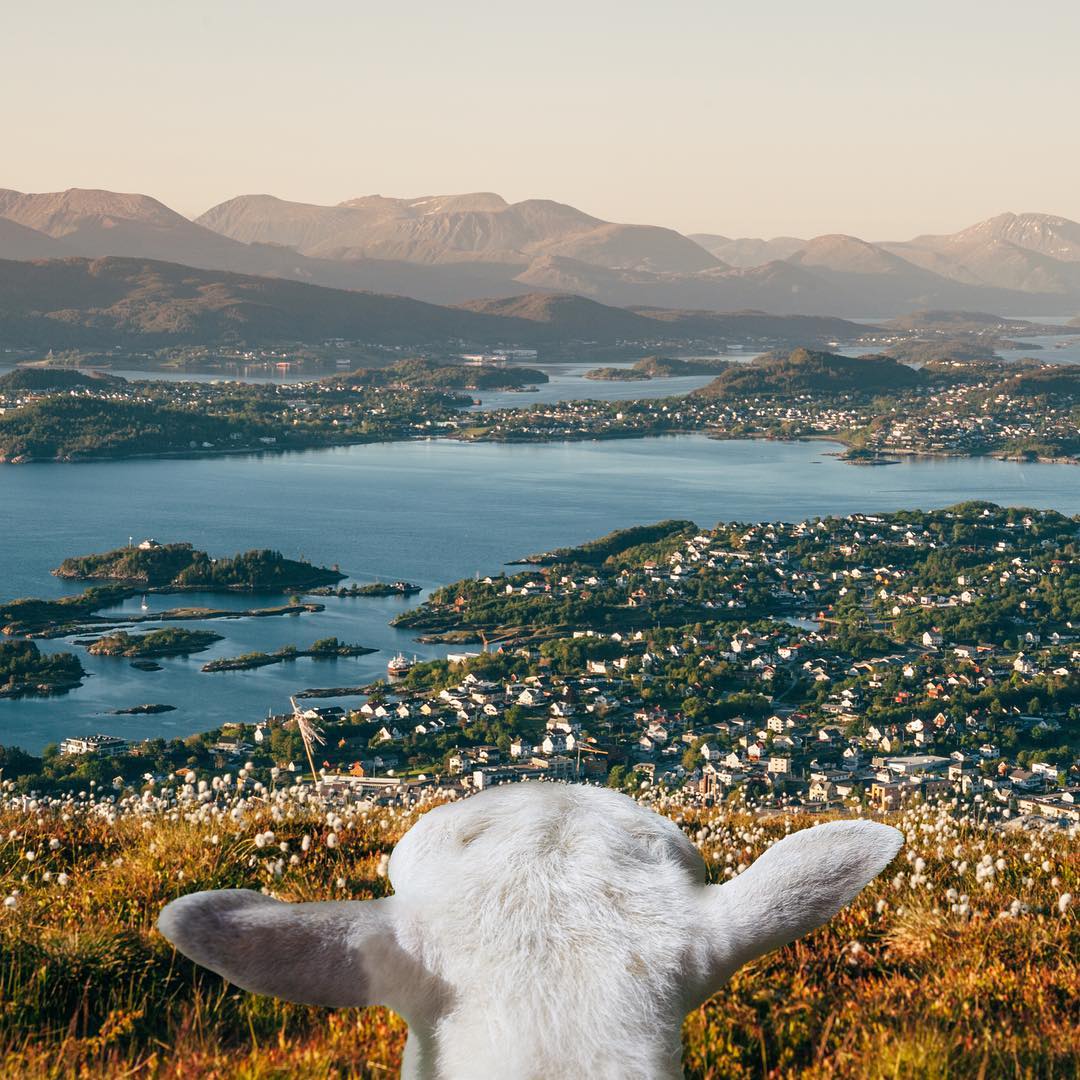 Scandi Six: Norwegian Instagram Account to Follow - Sheepwithaview