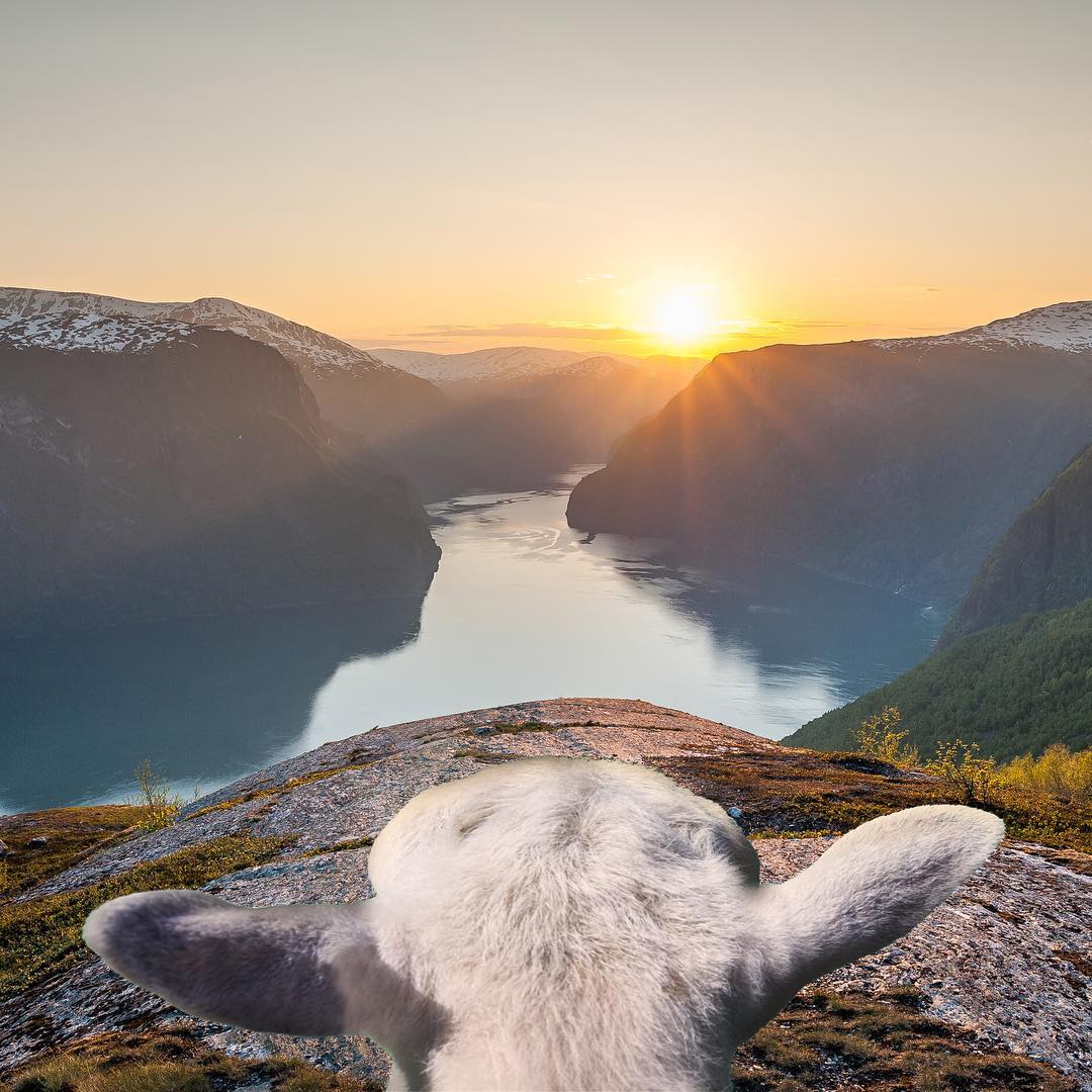 Scandi Six: Norwegian Instagram Account to Follow - Sheepwithaview