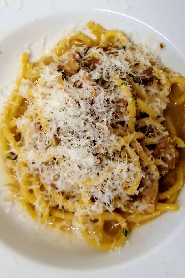 14317382_383852201739074_724917211176845141_n