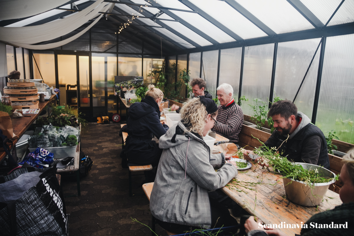 ostergro-copenhagn-rooftop-garden-group-scandianvia-standard