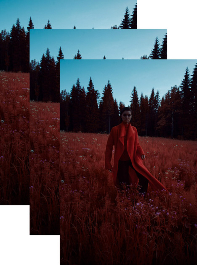 Elisabeth Stray Pedersen 2