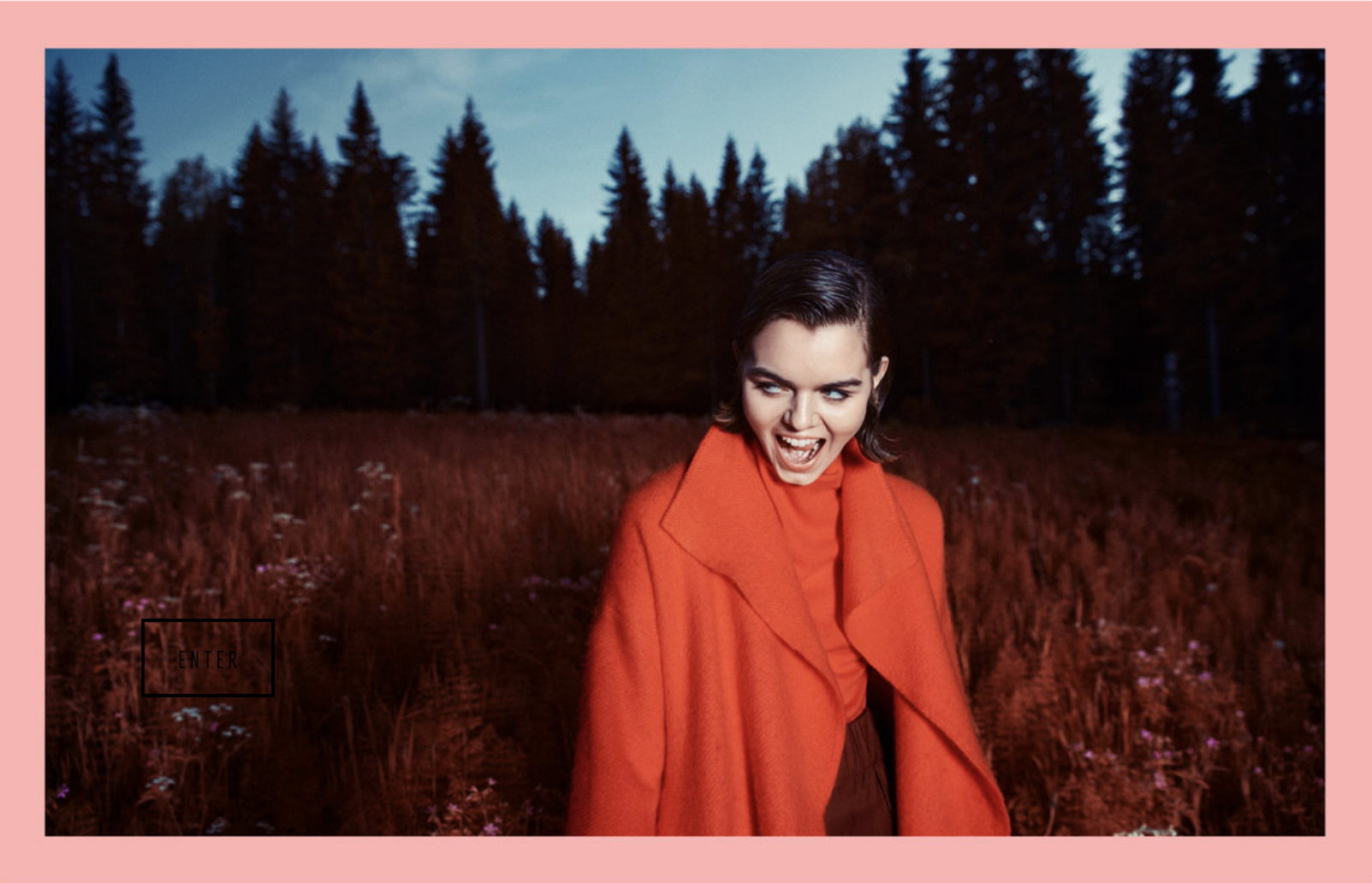 Elisabeth Stray Pedersen