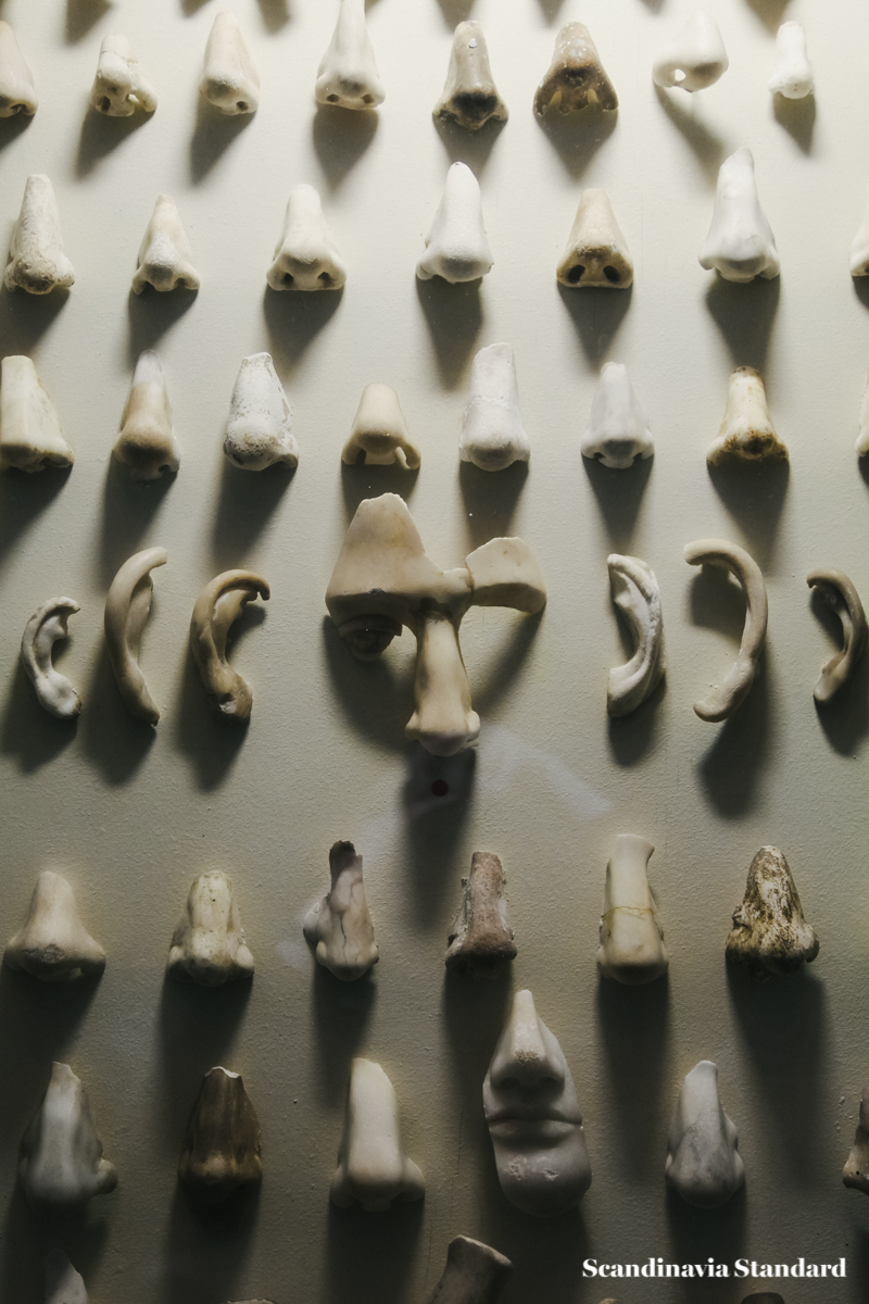 The Gallery of Noses at Glyptotek - Nasothek 2 | Scandinavia Standard