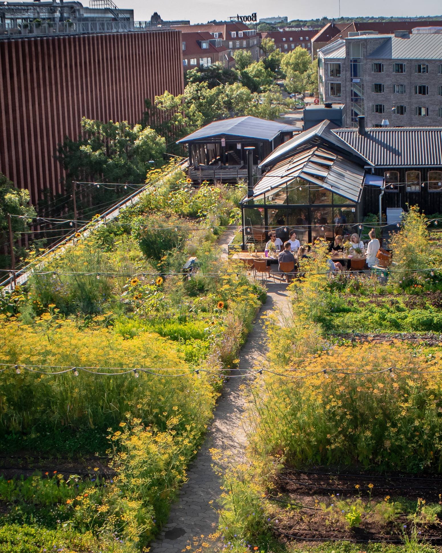 An aerial view of a rooftop garden in a city.