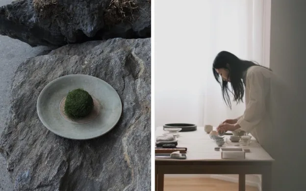 A woman from Denmark is preparing a bowl of moss on a rock under the sun.